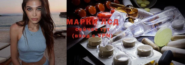 тгк Михайловск