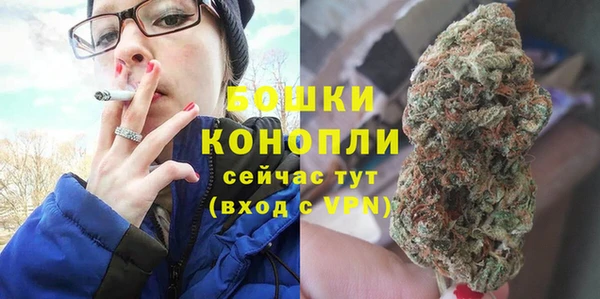 spice Медногорск